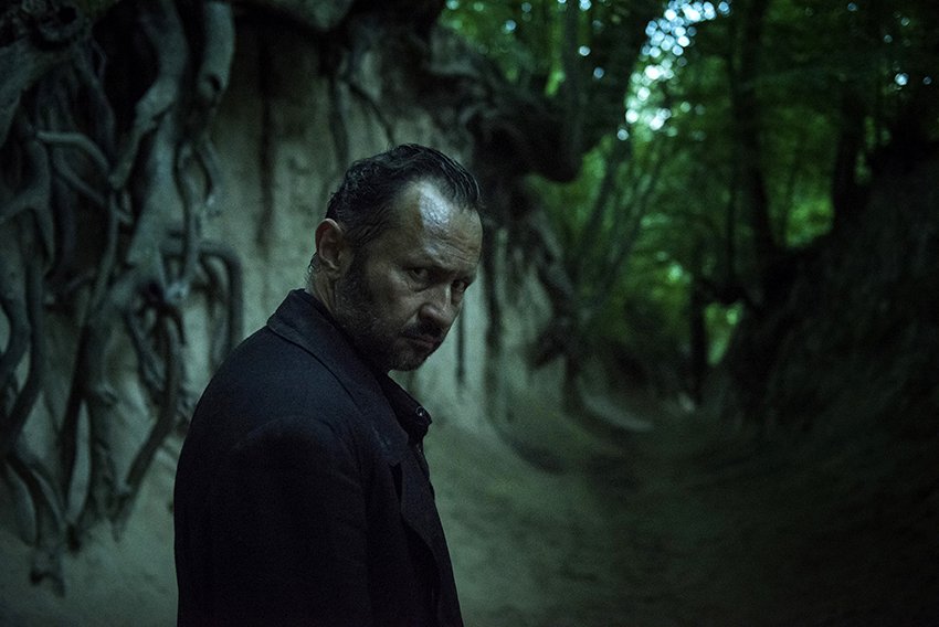 Photo du film The Field Guide to Evil