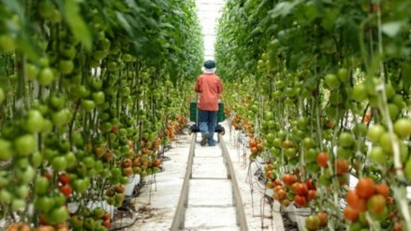 Photo du film Under the Same Moon