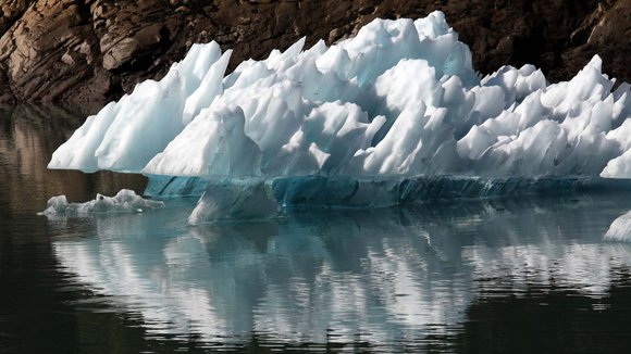 Photo from the movie Love Thy Nature