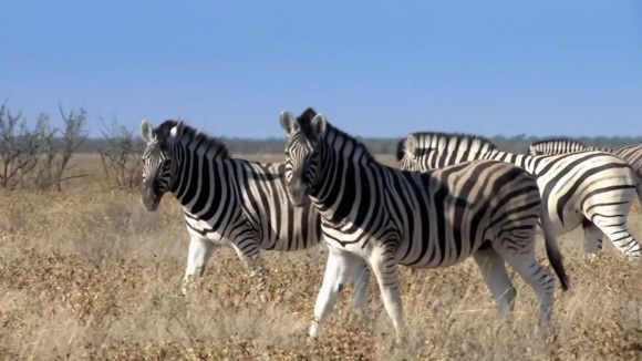 Photo from the movie Love Thy Nature