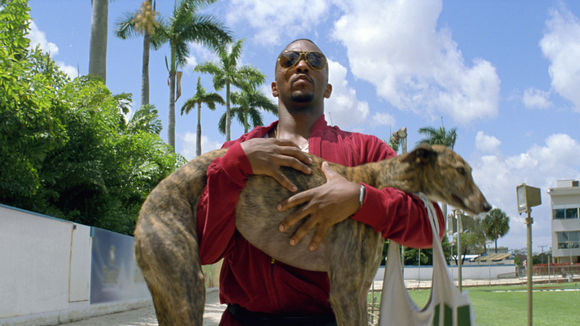 Photo du film Coup musclé