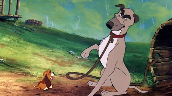 Photo from the movie The Fox and the Hound