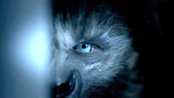 Photo du film Wolves