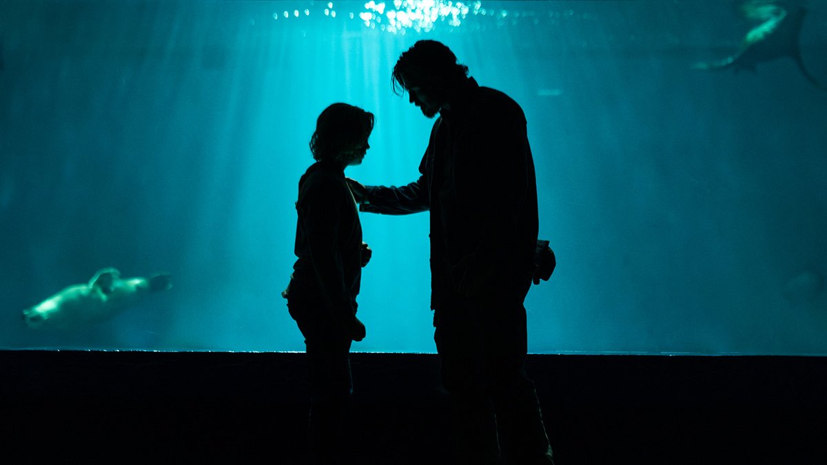 Photo du film Barron's Cove