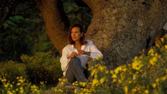 Photo from the movie Nordeste