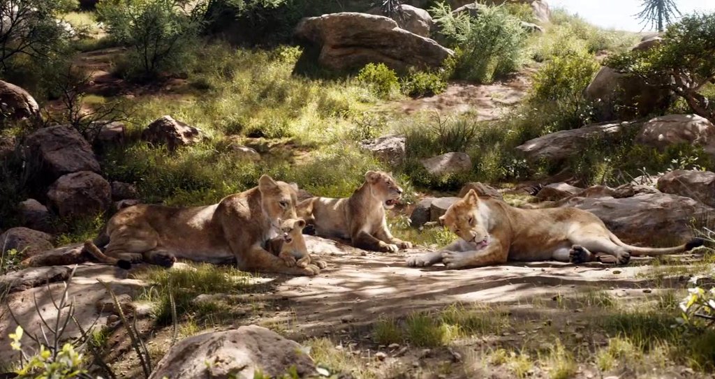 Photo du film Le Roi Lion