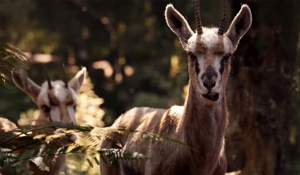 Photo du film Le Roi Lion