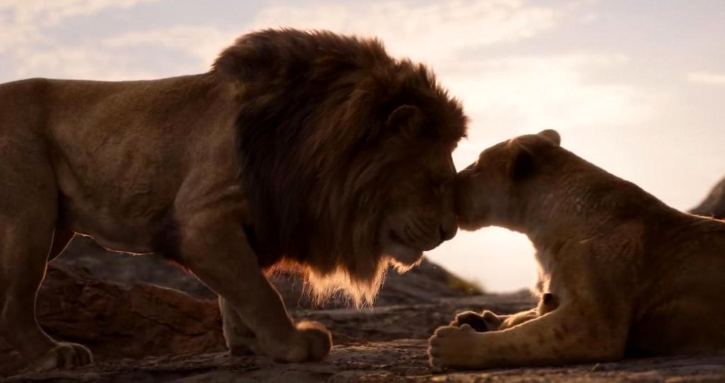 Photo du film Le Roi Lion