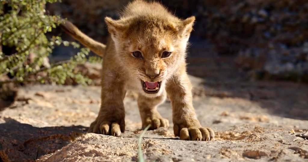 Photo du film Le Roi Lion