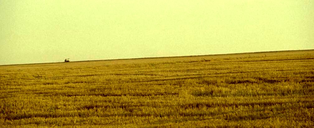 Photo from the movie Zero