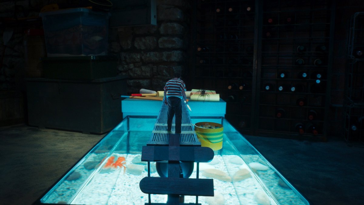 Photo du film L'homme qui rétrécit