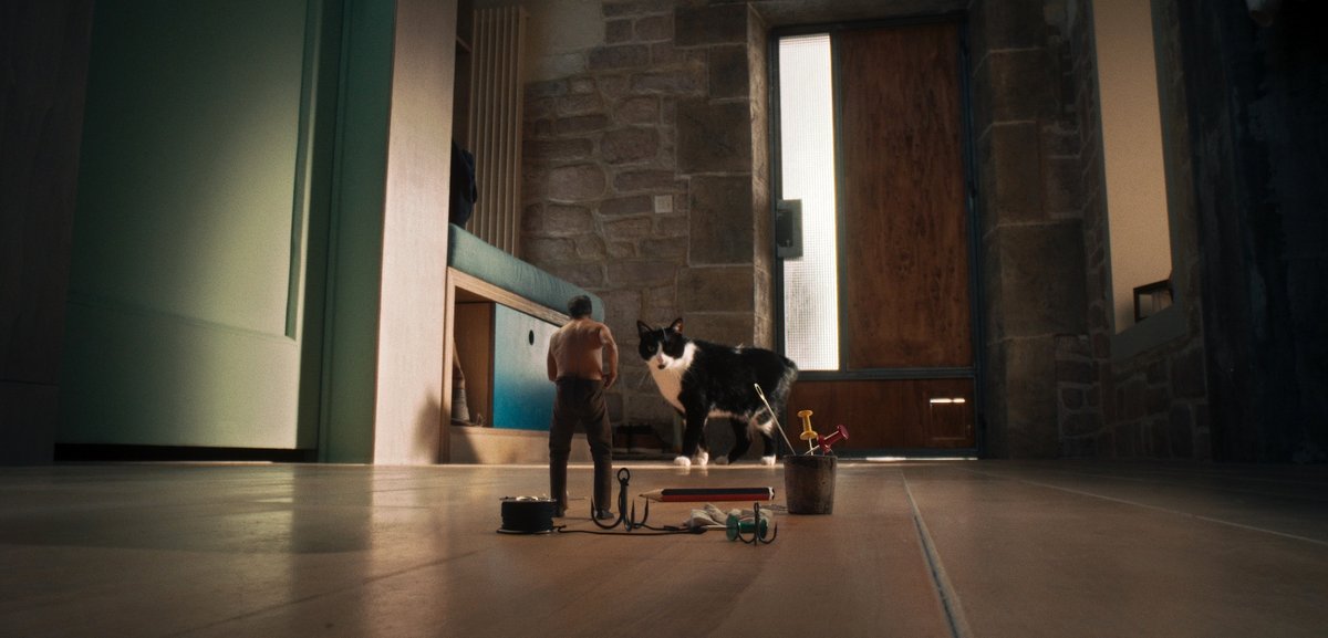 Photo du film L'homme qui rétrécit