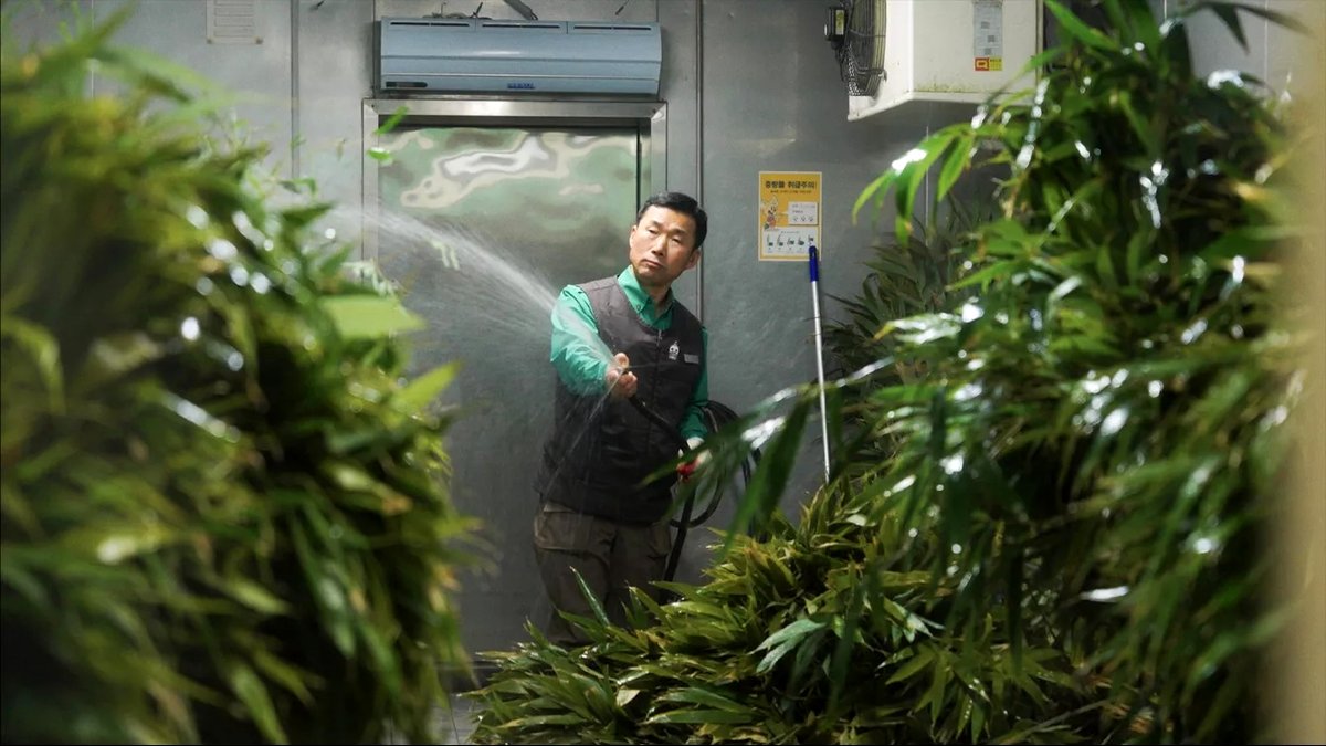 Photo du film My Dearest Fu Bao