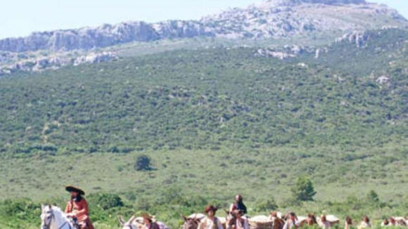 Photo from the movie The Bridge of San Luis Rey