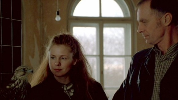 Photo du film Faucons