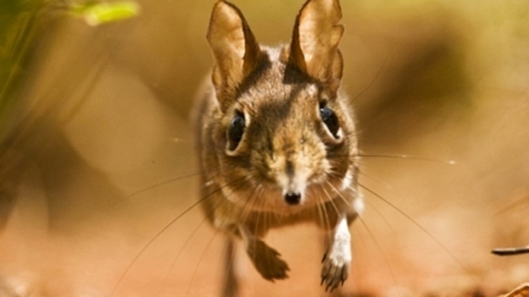 Photo du film Une Vie