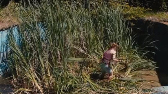 Photo from the movie Aire libre