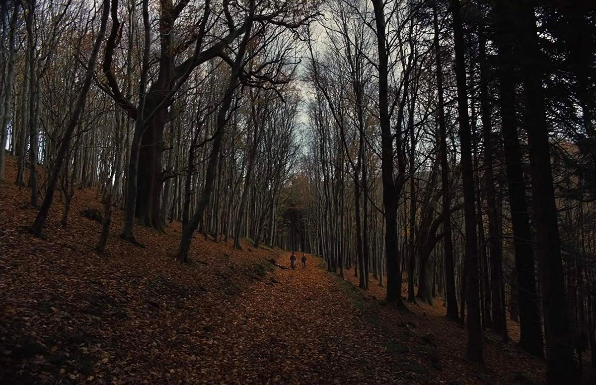 Photo du film Gretel & Hansel