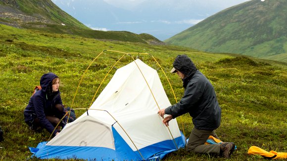 Photo from the movie Wildlike