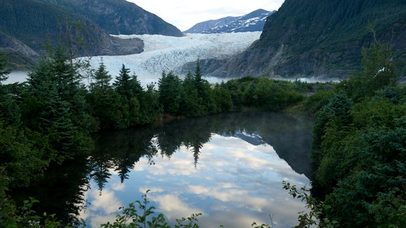 Photo from the movie Wildlike