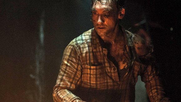 Photo du film The Woods