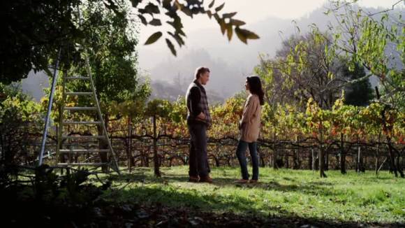 Photo du film Shirin in Love