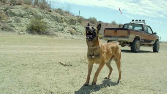 Photo du film Desierto