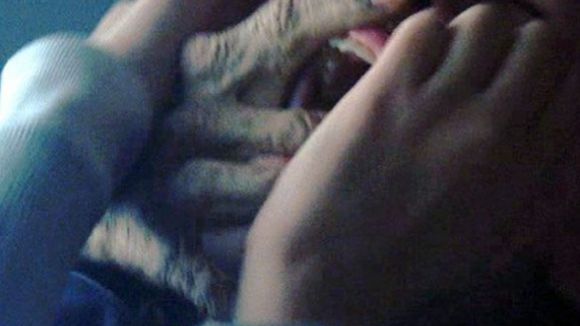 Photo du film Les Prédateurs