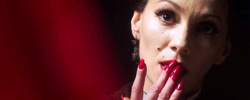 Photo du film In Fabric