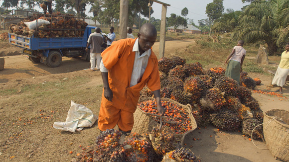Photo from the movie No Land No Food No Life