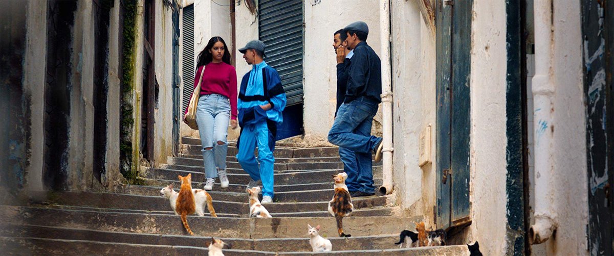 Photo from the movie Papicha