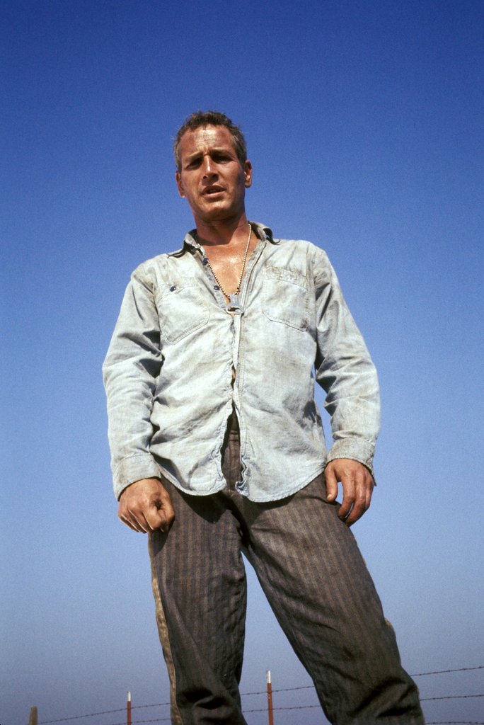 Photo du film Cool Hand Luke