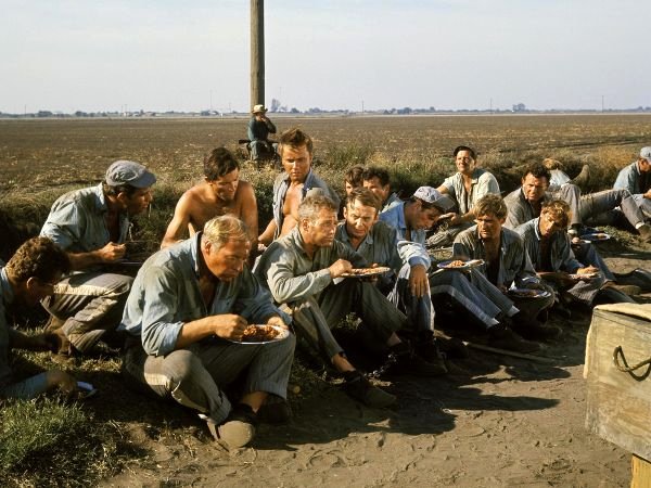 Photo du film Cool Hand Luke