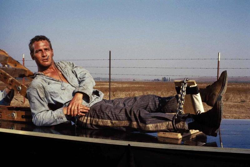 Photo du film Cool Hand Luke