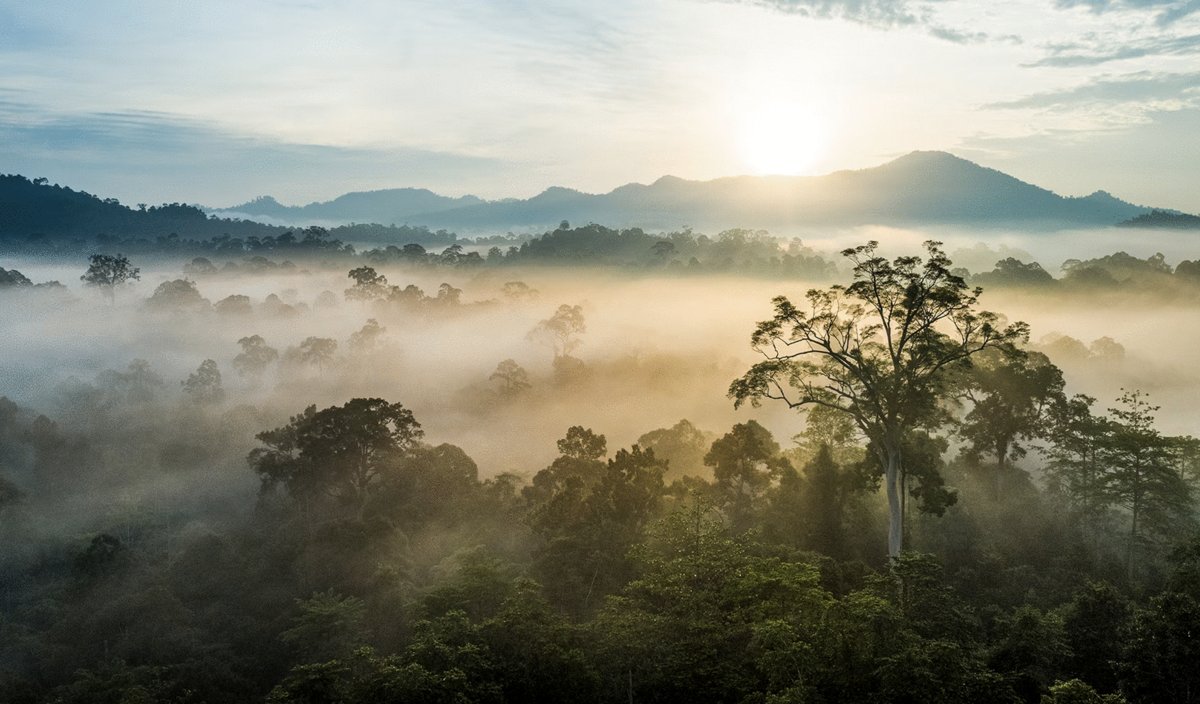Photo du film Eden: Untamed Planet