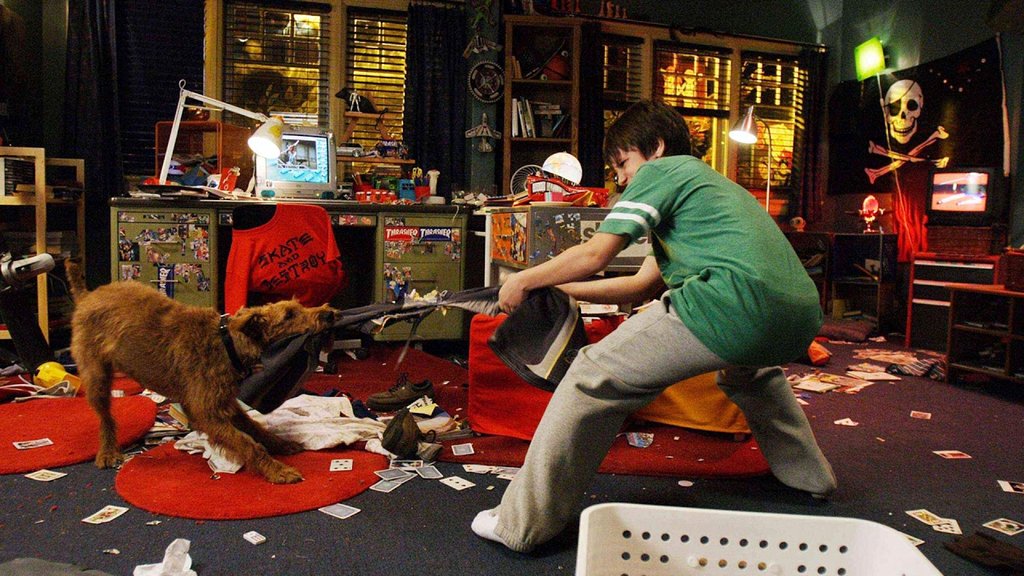 Photo du film Le chien de la caserne