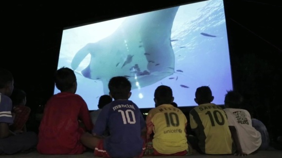 Photo du film Racing Extinction