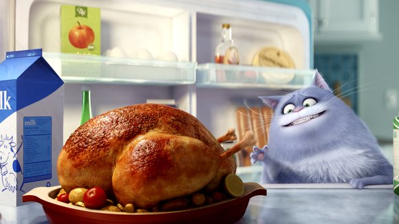 Photo from the movie The Secret Life of Pets