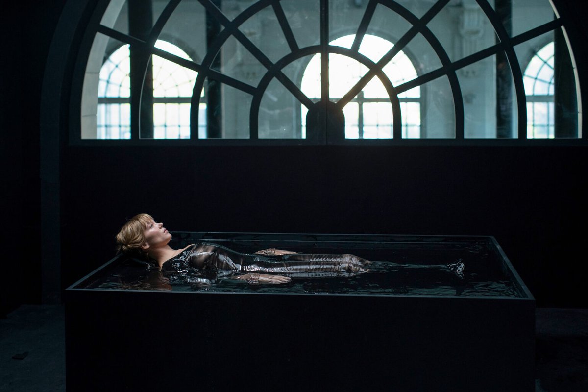 Photo du film La bête