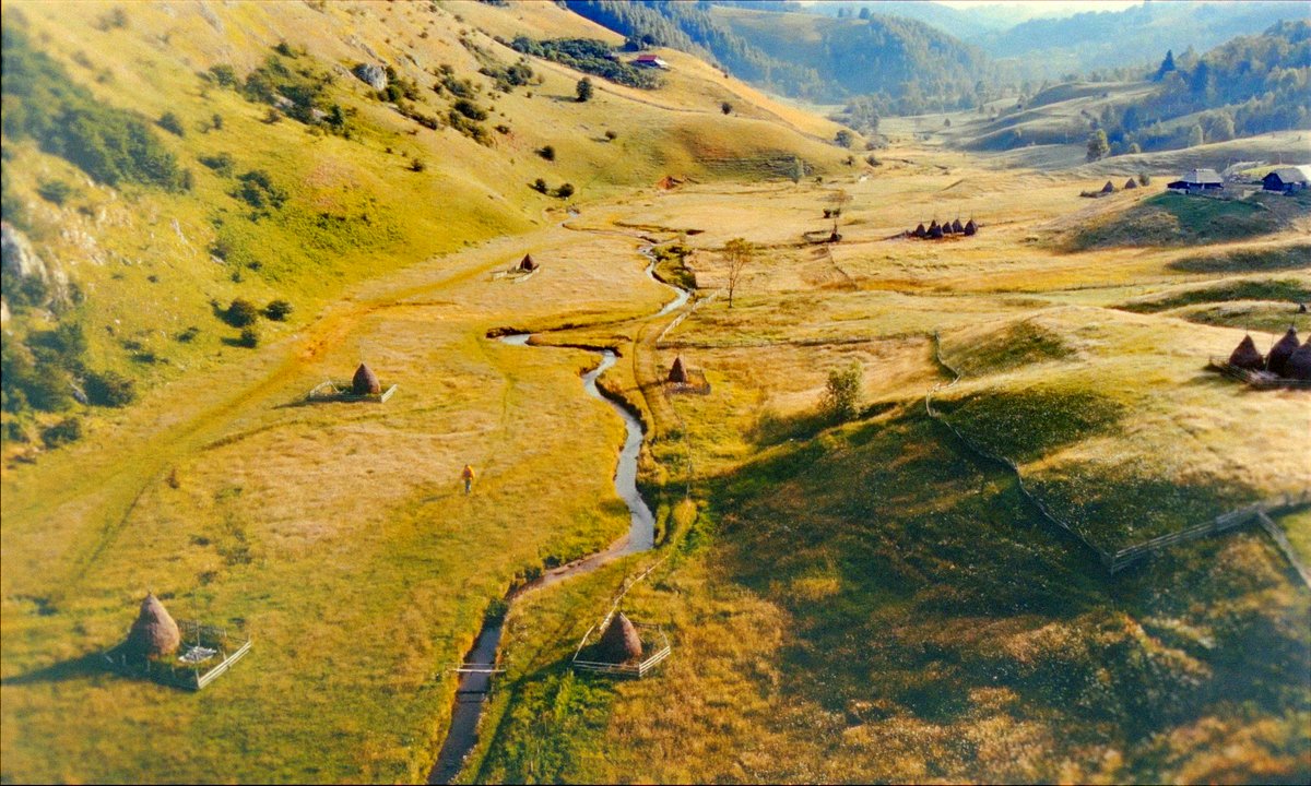 Photo du film The Legend of Ochi