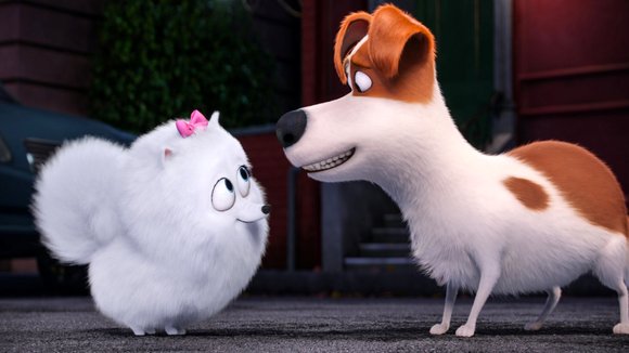 Photo from the movie The Secret Life of Pets