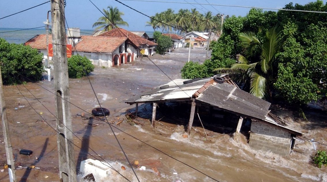 Photo from the movie Tsunami: Race Against Time [2024]