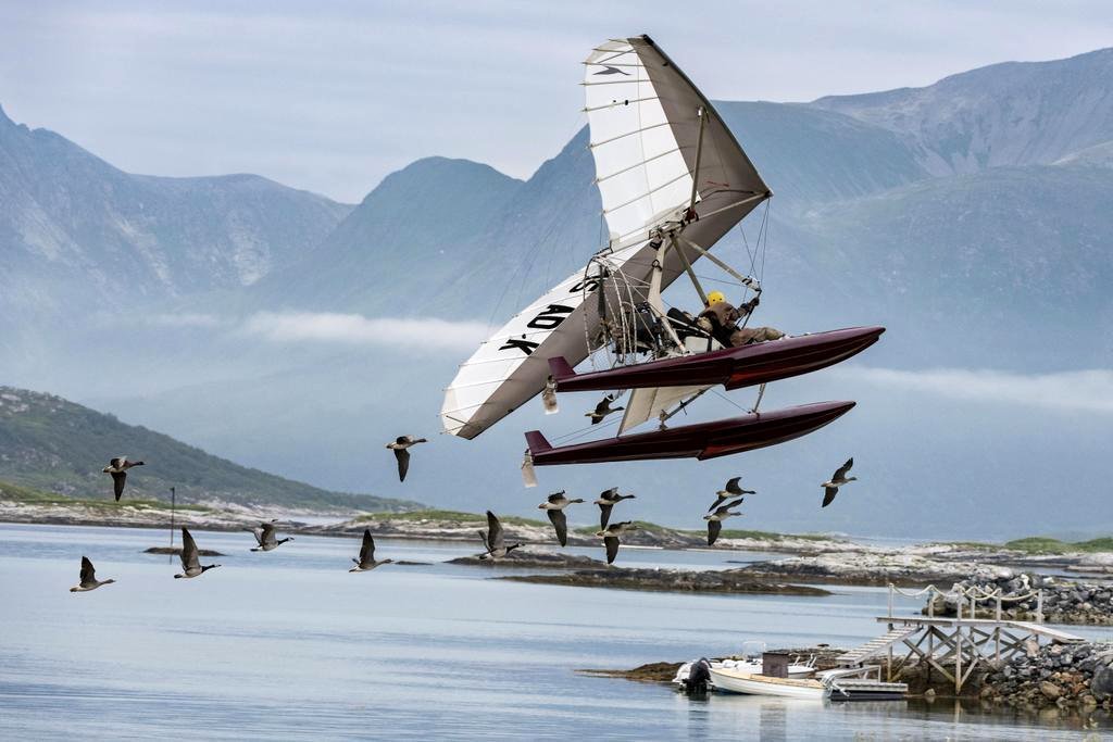 Photo du film Donne-moi des ailes