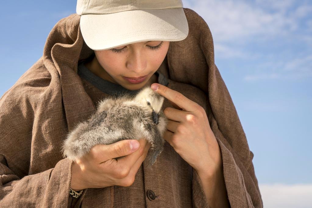 Photo du film Donne-moi des ailes