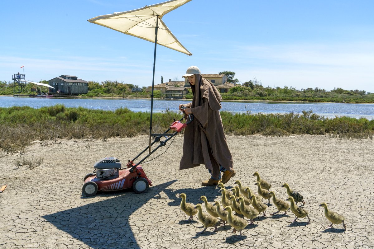 Photo du film Donne-moi des ailes
