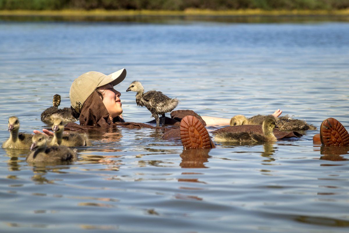 Photo du film Donne-moi des ailes