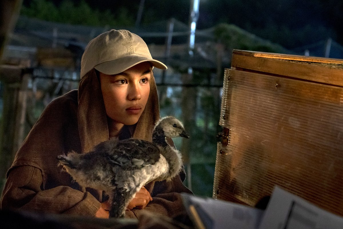 Photo du film Donne-moi des ailes