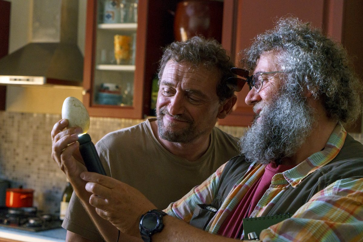 Photo du film Donne-moi des ailes