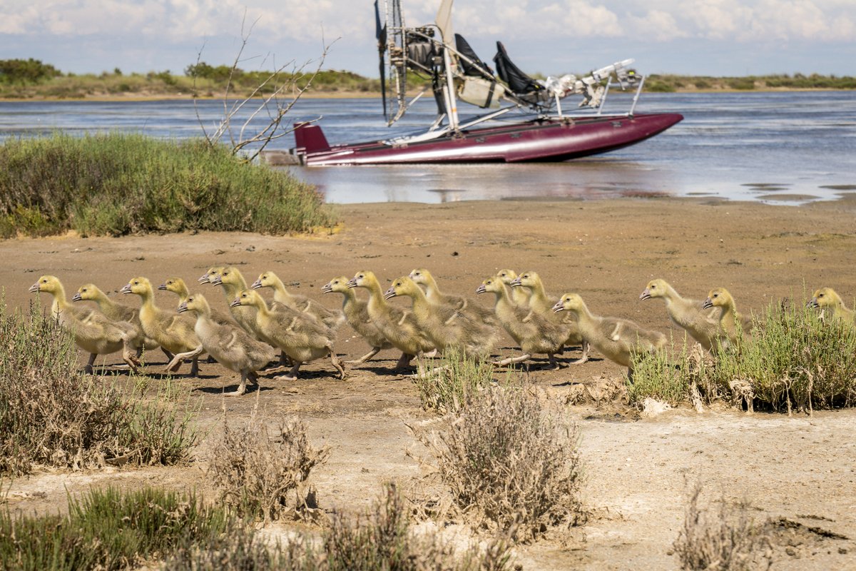 Photo du film Donne-moi des ailes