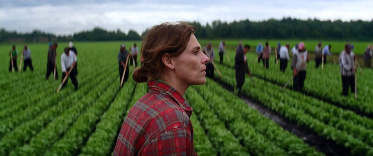 Photo du film Les oiseaux ivres